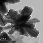 Indian scientists develop a new copper-based catalyst with extremely microscopic star-like structure