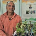 Hariman Sharma, famous for apple cultivation in India, has been awarded Padma Shri