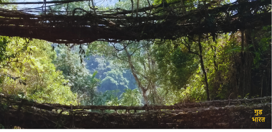 Meghalaya’s Living Root Bridges