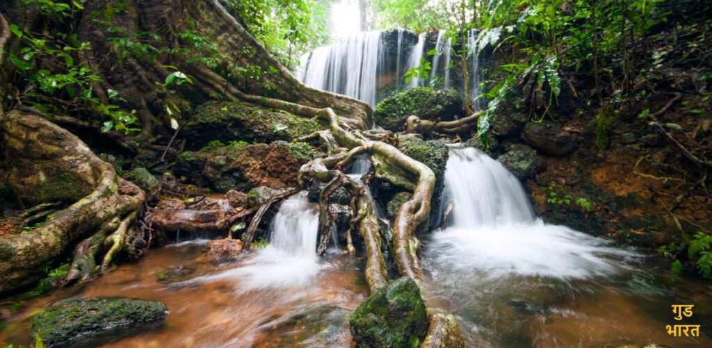 Agumbe