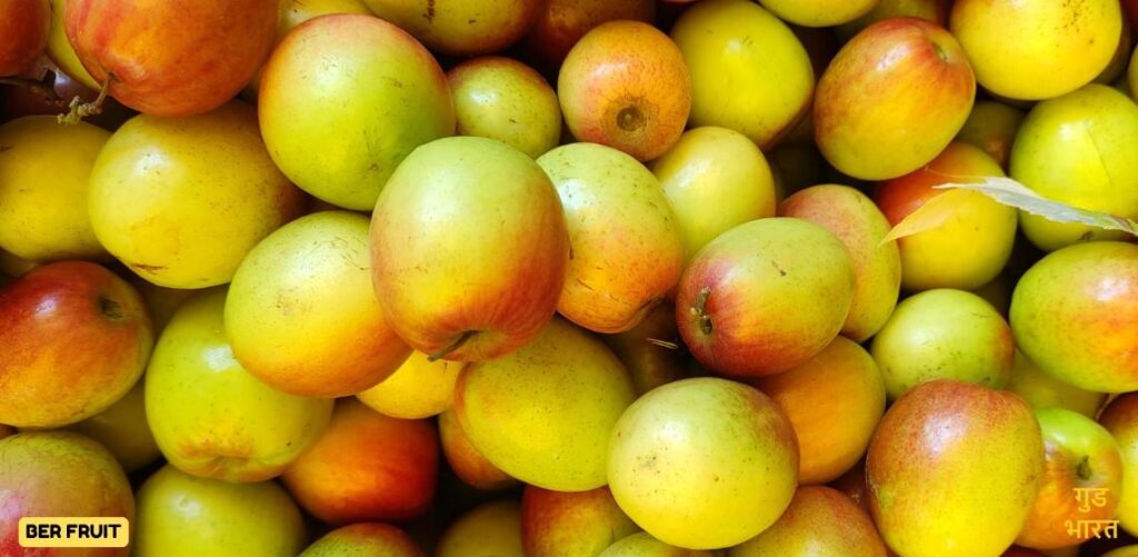 Ber Fruit