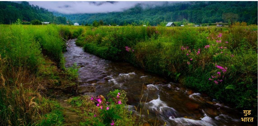 Ziro Valley