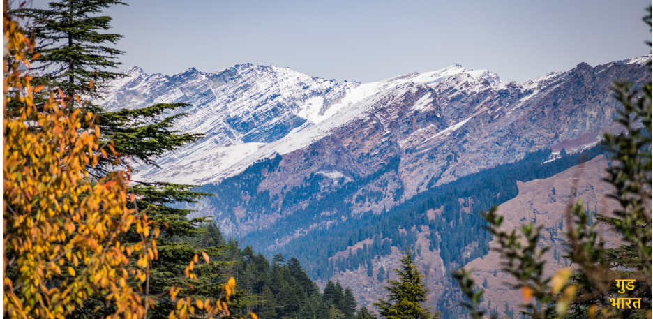 Himalayan Trees