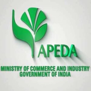 India Exports  GI-Tagged First-Ever Air Shipment Indi Lime and Puliyankudi Lime to United Kingdom