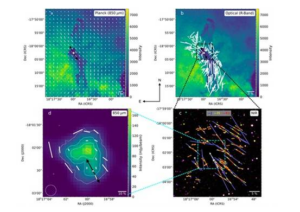 Astronomers Trace Magnetic Fields in Stellar Birth
