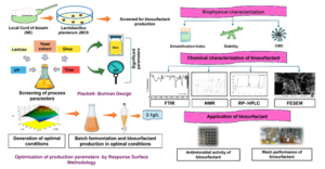 Indian Scientists Develop Plant-Based  Cosmetic Lubricants