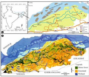 New Study Maps the Geological and Ecological Evolution of Kaziranga