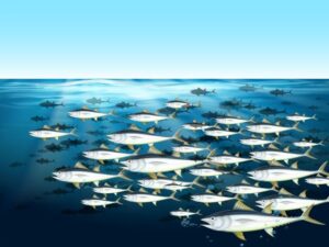 Cold Water Fisheries Emerge as New Growth Engine in India’s Blue Economy