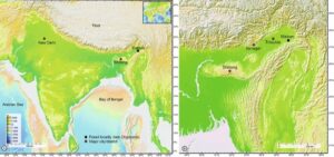 Indian researchers studied the fragrant kewra plant