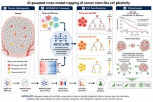 AI Breakthrough Offers New Clues to Cancer Recurrence and Treatment Resistance